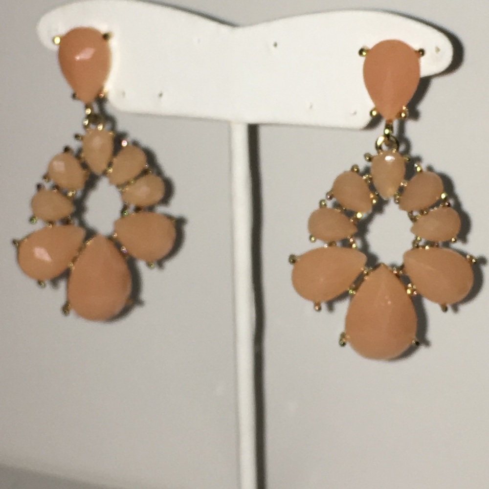 Coral/light orange Statement Earrings