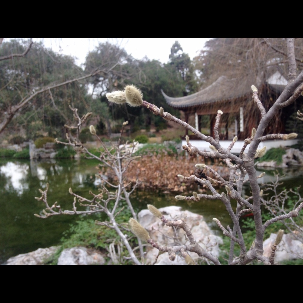 Meet your Posher, Celine