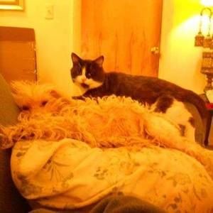 Meet your Posher, Kathy l