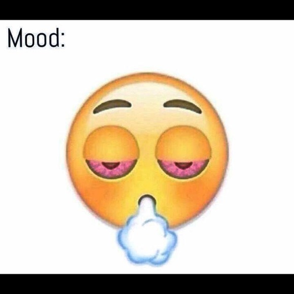 Meet your Posher, Ariel - Picture 1 of 1