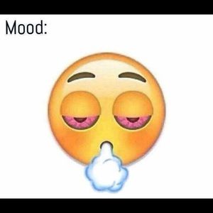 Meet your Posher, Ariel