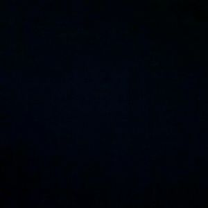 Meet your Posher, Molly