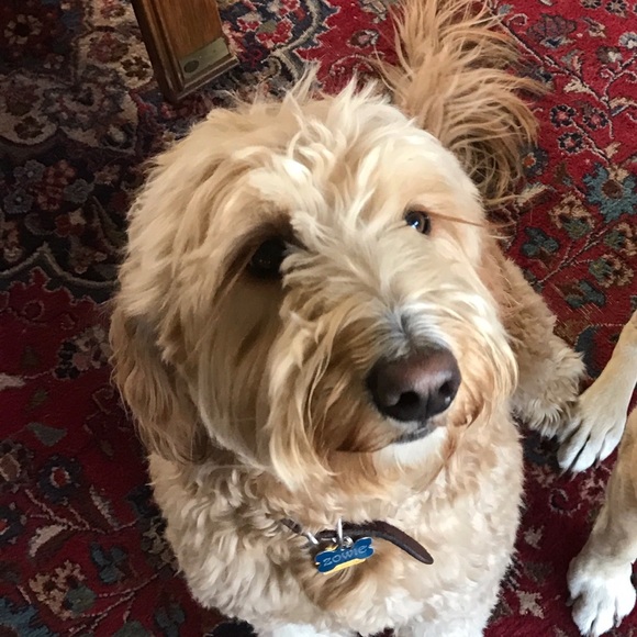 Meet your Posher, Anja - Picture 1 of 1