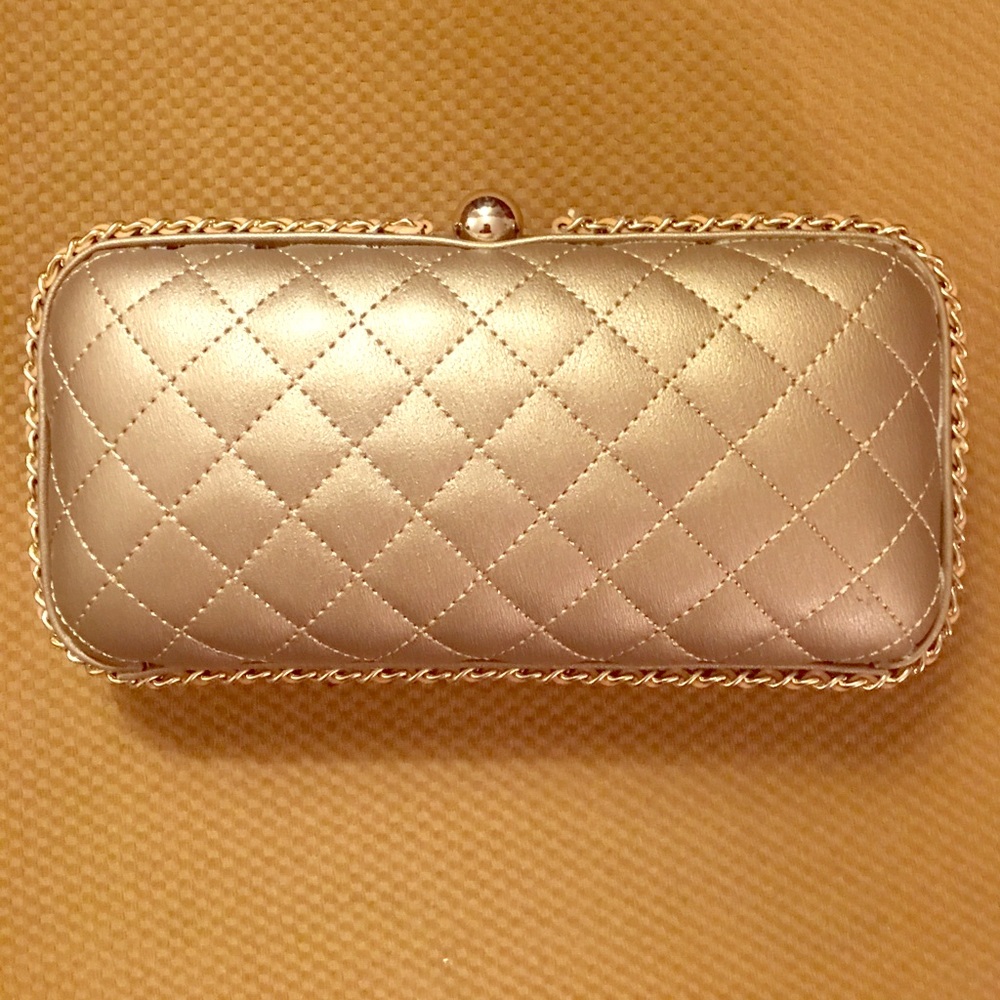 Italian Gold Bronze Carpisa Clutch