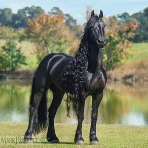 Meet your Posher, Cassandra