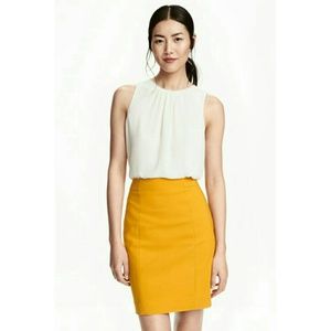 Short Pencil Skirt