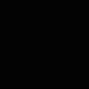 Meet your Posher, Jess