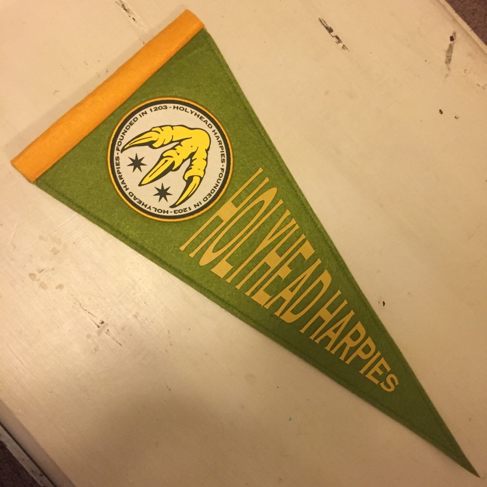 Holyhead Harpies Quidditch Pendant