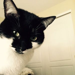 Meet your Posher, Gwen