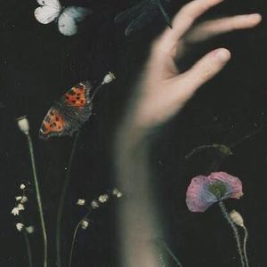 Meet your Posher, Kate