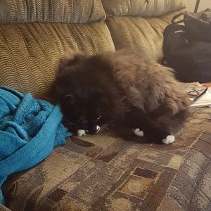 Meet your Posher, Kevin