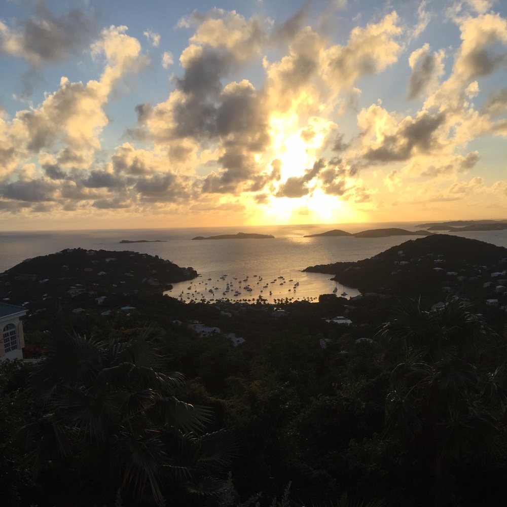 Meet your Posher, Gretta