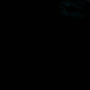 Meet your Posher, Gene