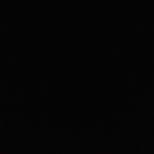 Meet your Posher, Bradley