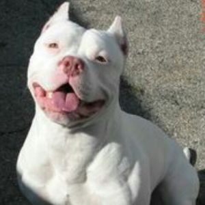 Meet your Posher, Jaylen