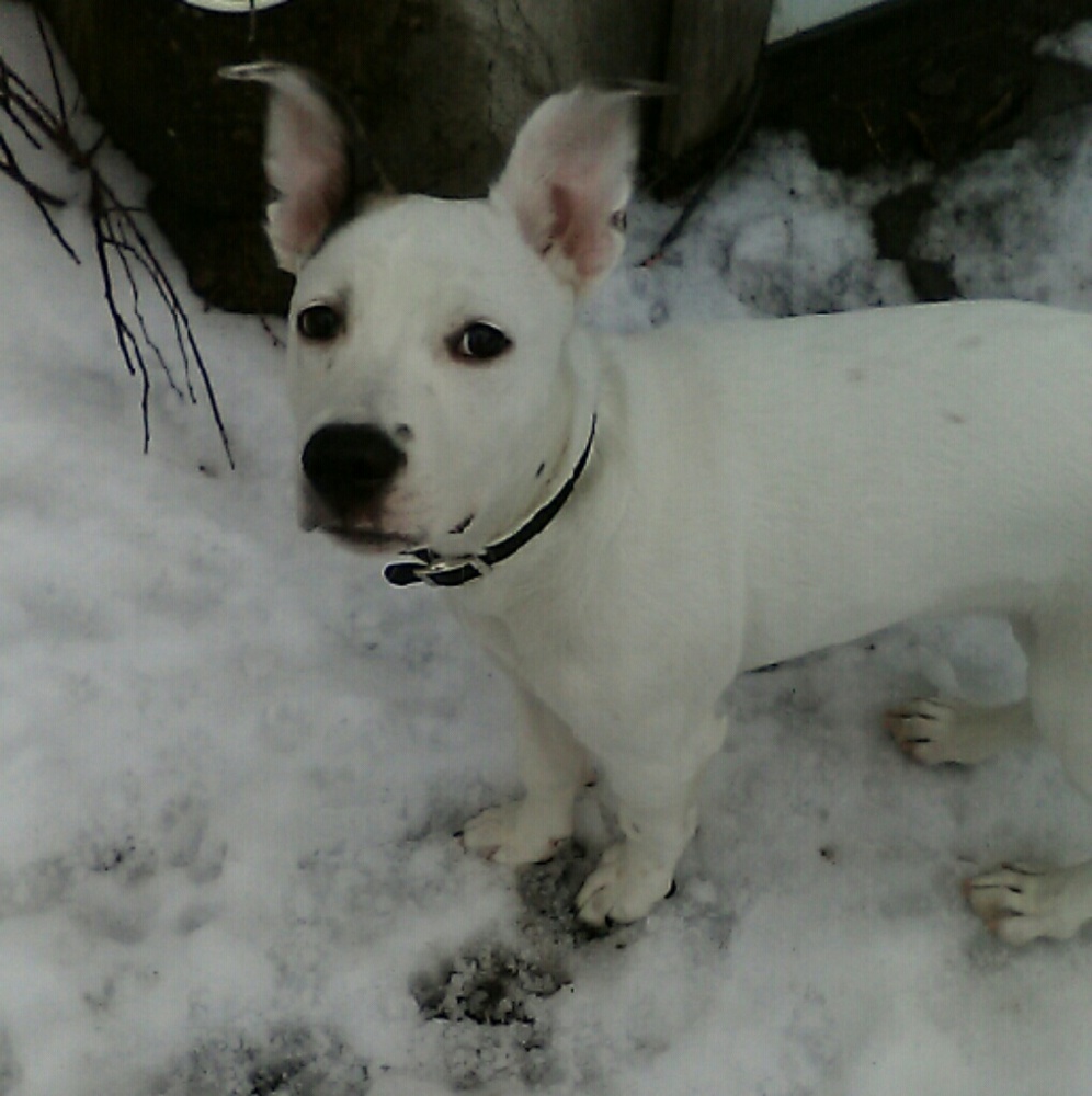 Meet your Posher, Jeremy