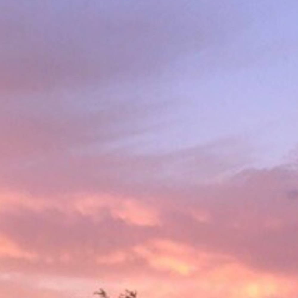 Meet your Posher, Esperanza