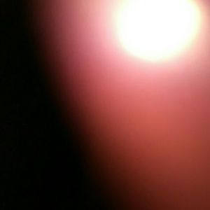 Meet your Posher, Doris