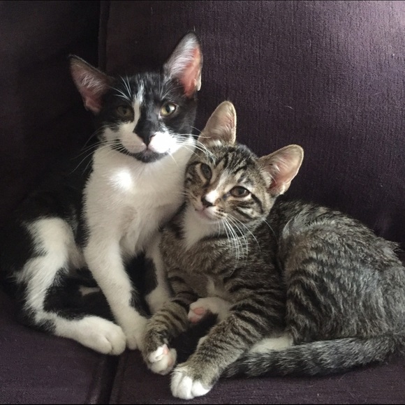 Meet Your Posher, Rachel! - Picture 8 of 8