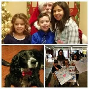 Meet your Posher, Alice