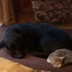 Meet your Posher, Sue