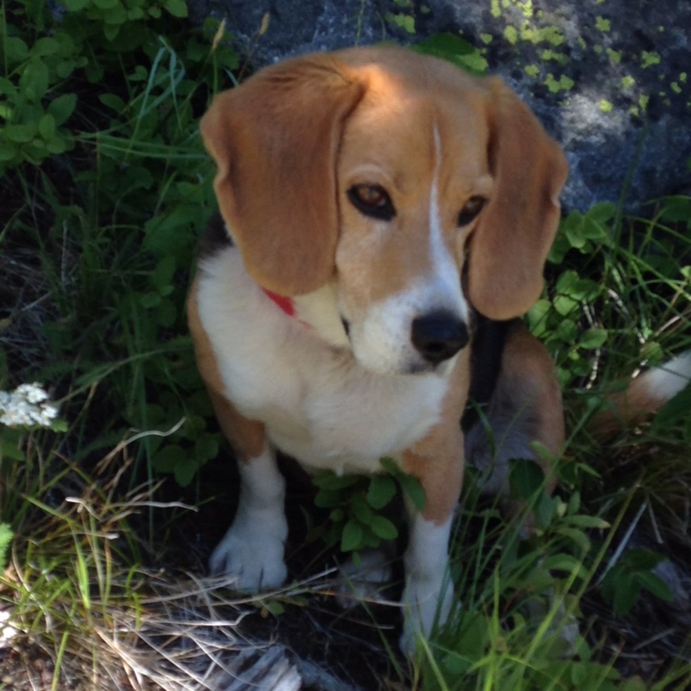 Meet your Posher, Sonia