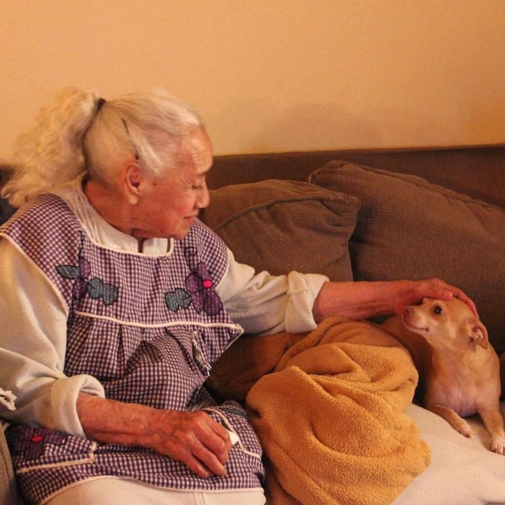 Meet your Posher, Veronica