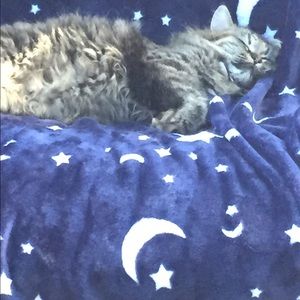 Meet your Posher, Maryanne