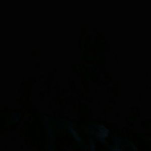 Meet your Posher, Shauna