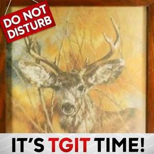 Meet your Posher, Lauralee