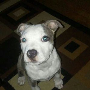 Meet your Posher, Shearrod