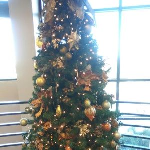 Meet your Posher, Sandy