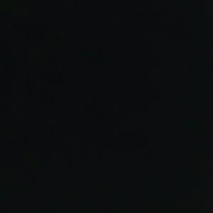 Meet your Posher, Doris