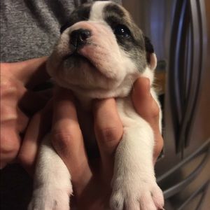 Meet your Posher, Chasity