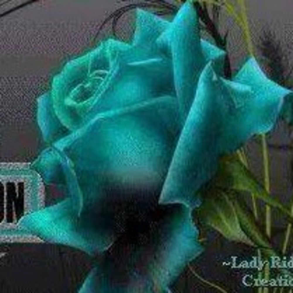 Meet your Posher, Becky