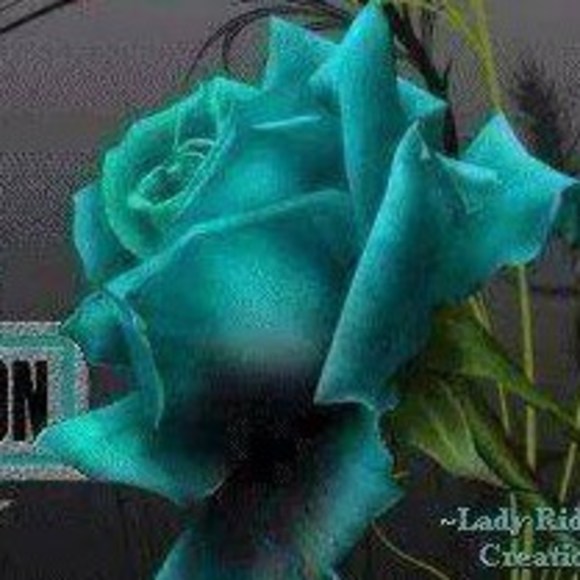 Meet your Posher, Becky - Picture 1 of 1