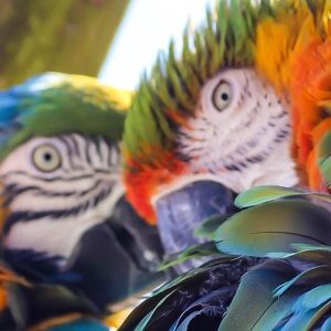 Meet your Posher, Khuram