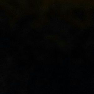 Meet your Posher, Ashleigh