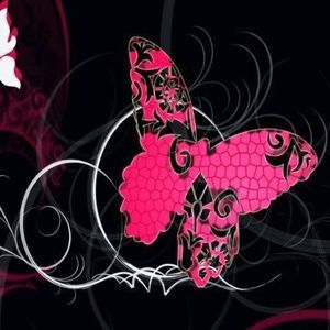 Meet your Posher, Shawna