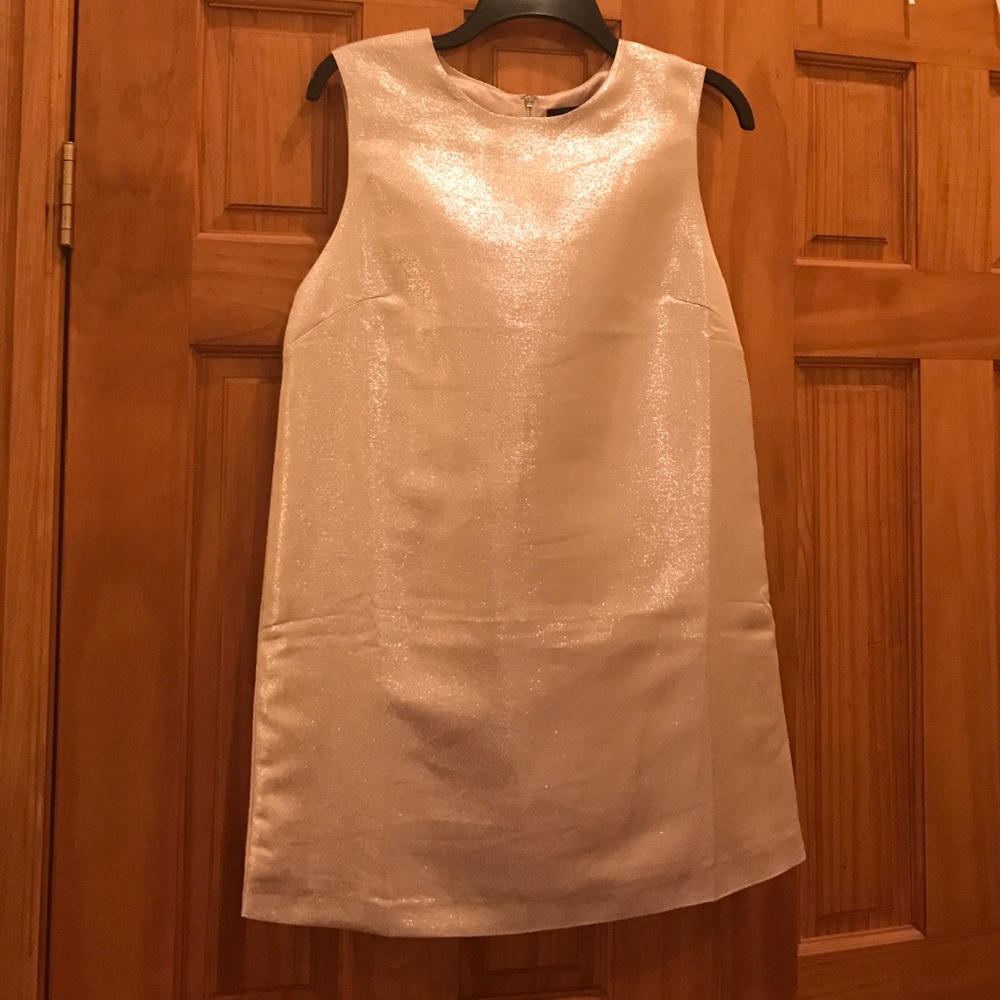 Champagne shimmering shift dress NWT