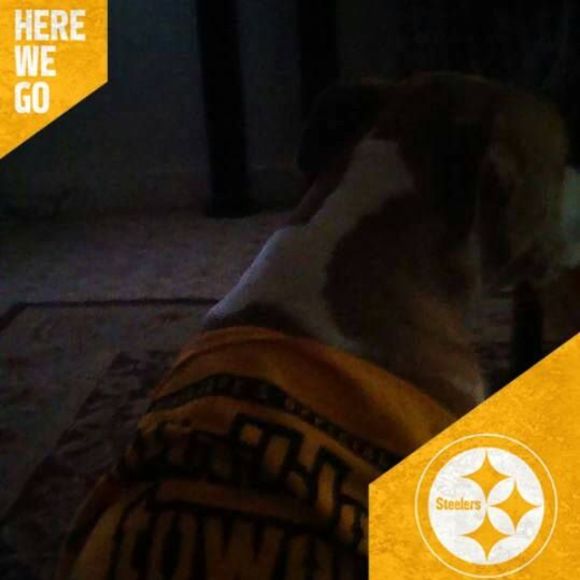 Meet your Posher, Shaunta - Picture 1 of 1