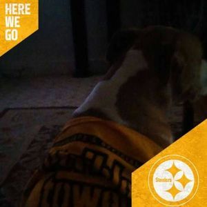 Meet your Posher, Shaunta