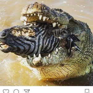 Meet your Posher, Danny