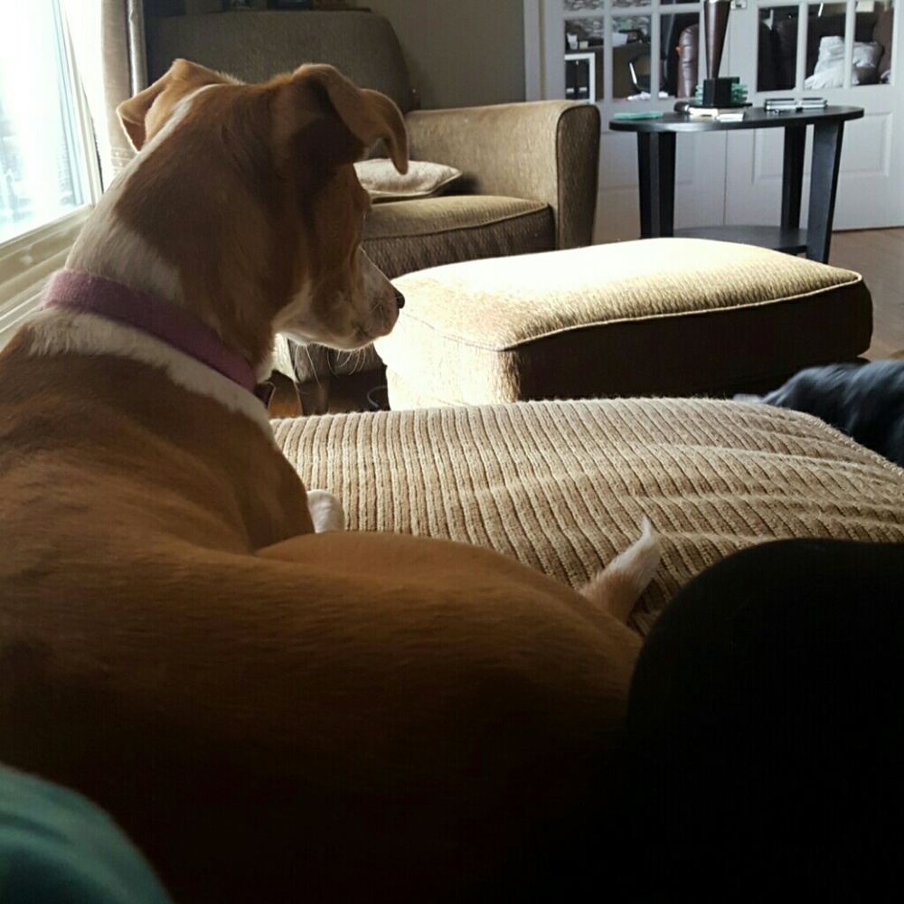 Meet your Posher, Megan