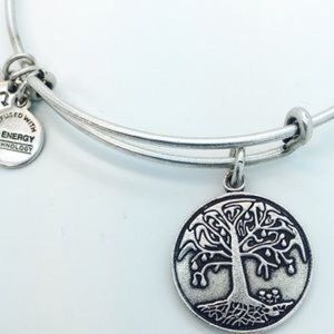 Alex and Ani Bangle
