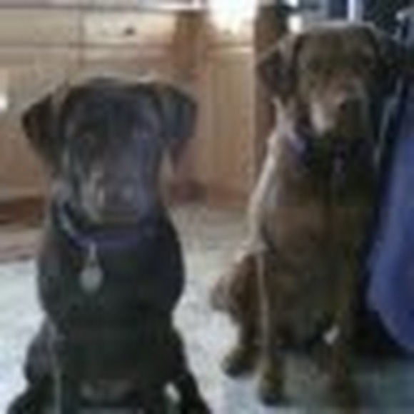 Meet your Posher, Alexandra - Picture 1 of 1