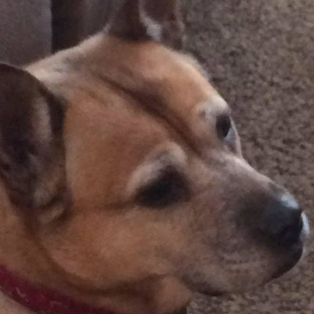 Meet your Posher, Patricia