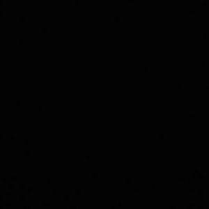 Meet your Posher, Rosa