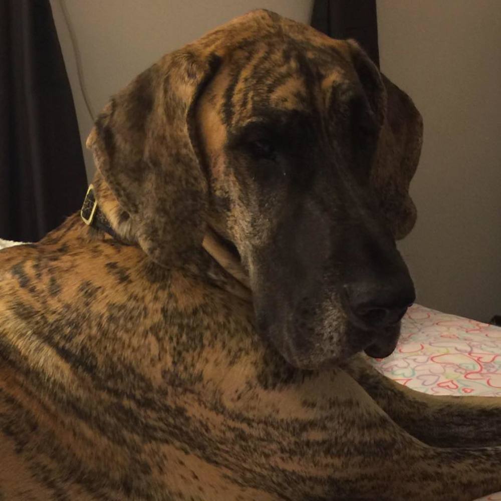 Meet your Posher, Cherie n chad