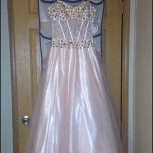 Never worn, NWT, size 5, baby pink, see thru torso